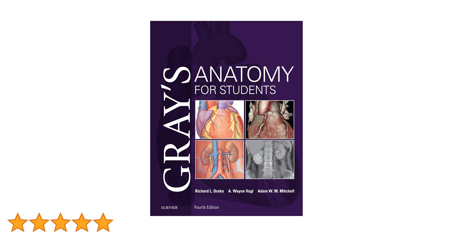 Amazon.co.jp: Gray's Anatomy for Students E-Book (English